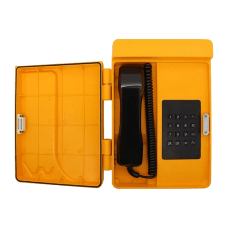 CS618L-FS220 Telefono digitale impermeabile CA